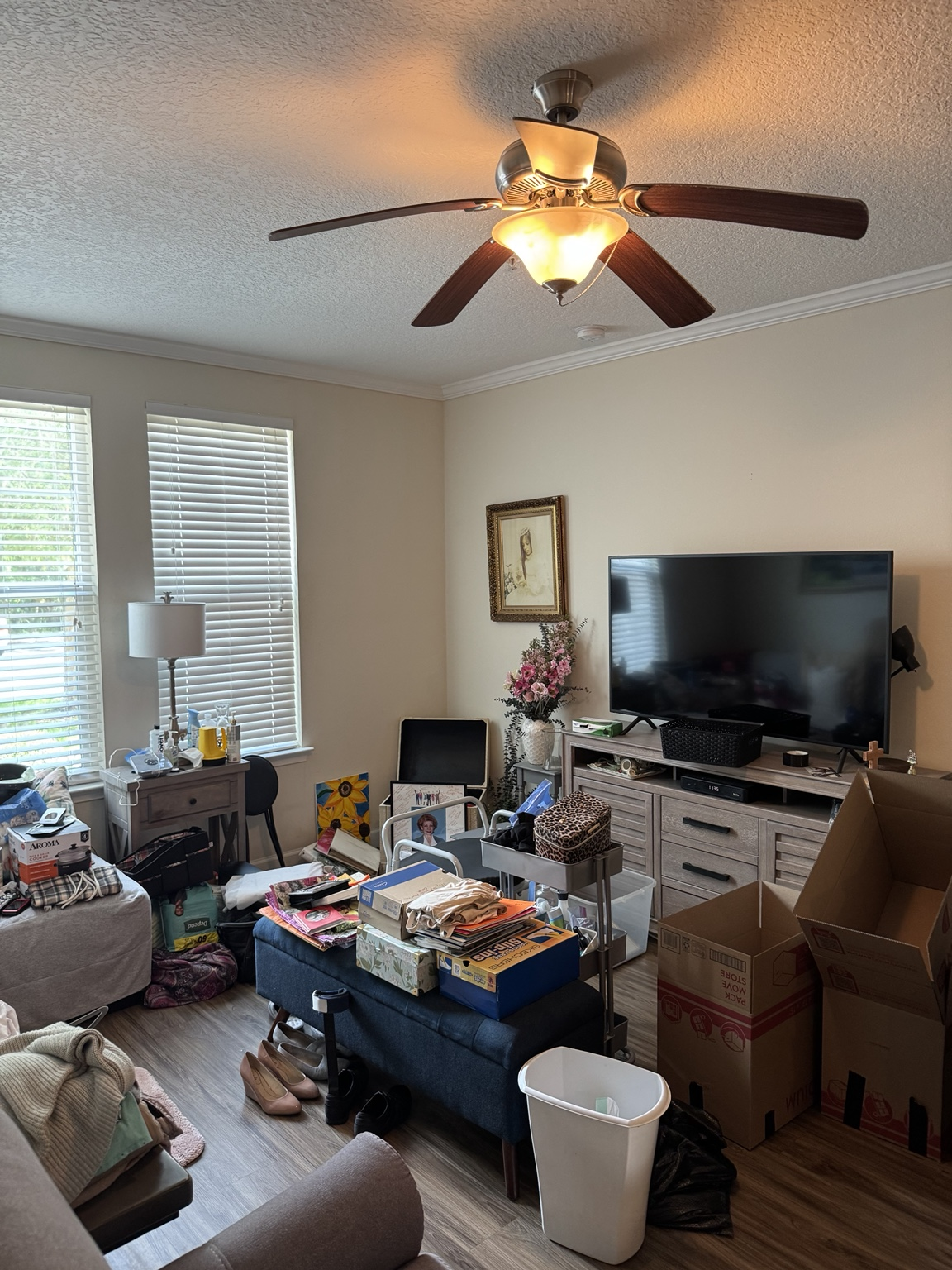 Nashville condo living room before the cleanout, with stacked boxes, furniture and household items filling the floor